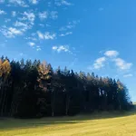 Rozpravkovy Domcek Zvoncek * دونوفالي