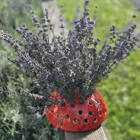 Dom wakacyjny Rozpravkovy Domcek Zvoncek Donovaly