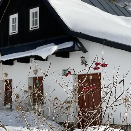 Rozpravkovy Domcek Zvoncek *