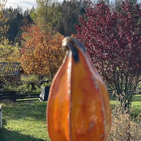 Rozpravkovy Domcek Zvoncek * Donovaly