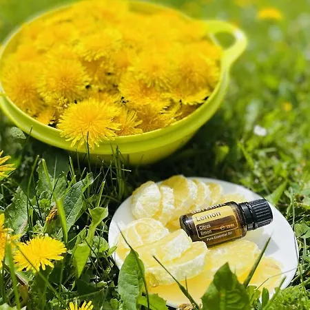 Dom wakacyjny Rozpravkovy Domcek Zvoncek