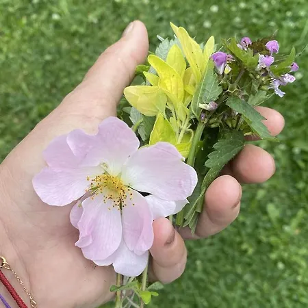 Dom wakacyjny Rozpravkovy Domcek Zvoncek Donovaly