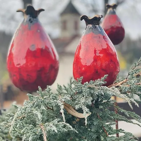 Rozpravkovy Domcek Zvoncek Donovaly