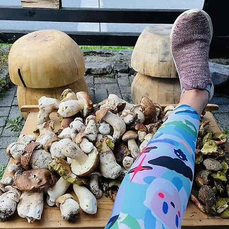 Dom wakacyjny Rozpravkovy Domcek Zvoncek *