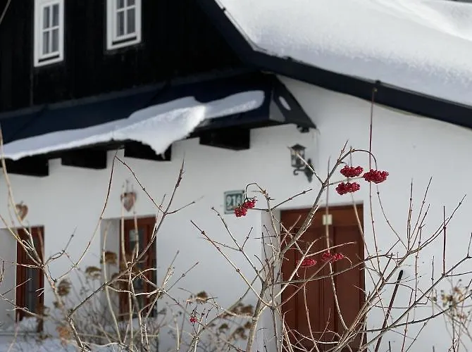 Rozpravkovy Domcek Zvoncek *