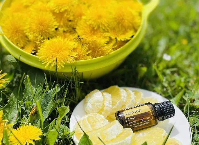 Ferienhaus Rozpravkovy Domcek Zvoncek