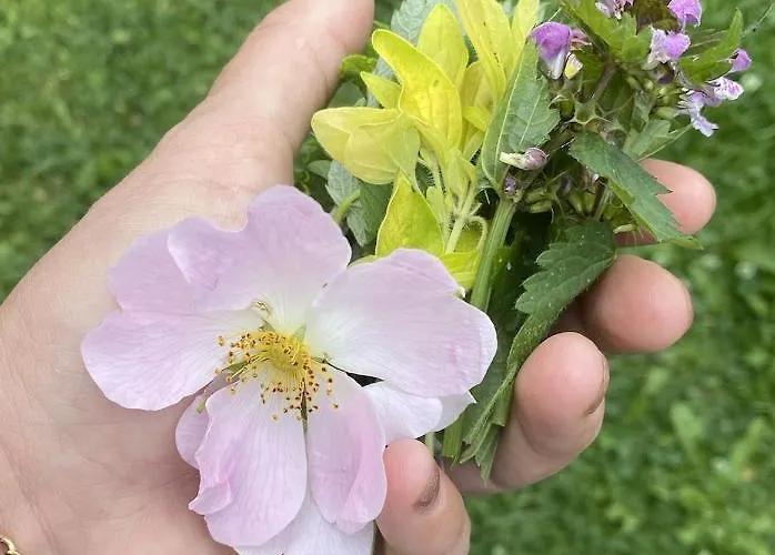 Ferienhaus Rozpravkovy Domcek Zvoncek Donovaly