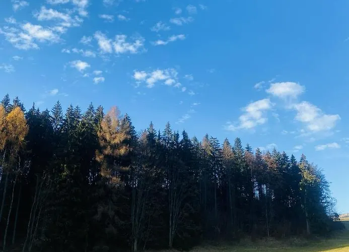 Rozpravkovy Domcek Zvoncek * Donovaly