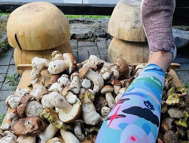 Ferienhaus Rozpravkovy Domcek Zvoncek *