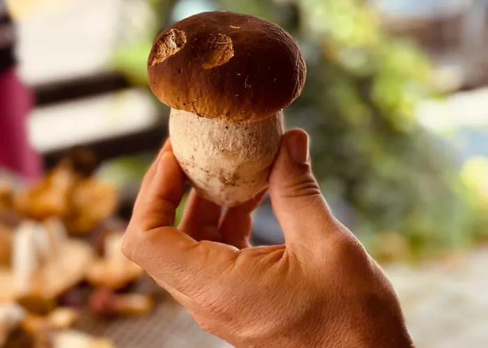 Ferienhaus Rozpravkovy Domcek Zvoncek *